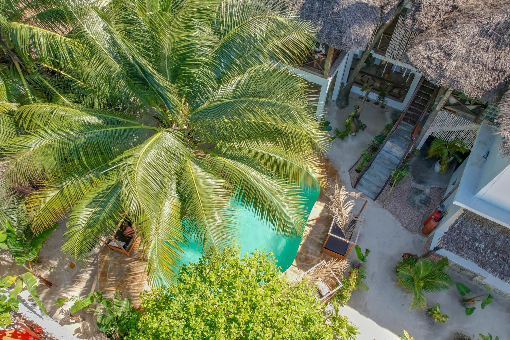 مبيت وإفطار جامبياني Ocean Boho House المظهر الخارجي الصورة